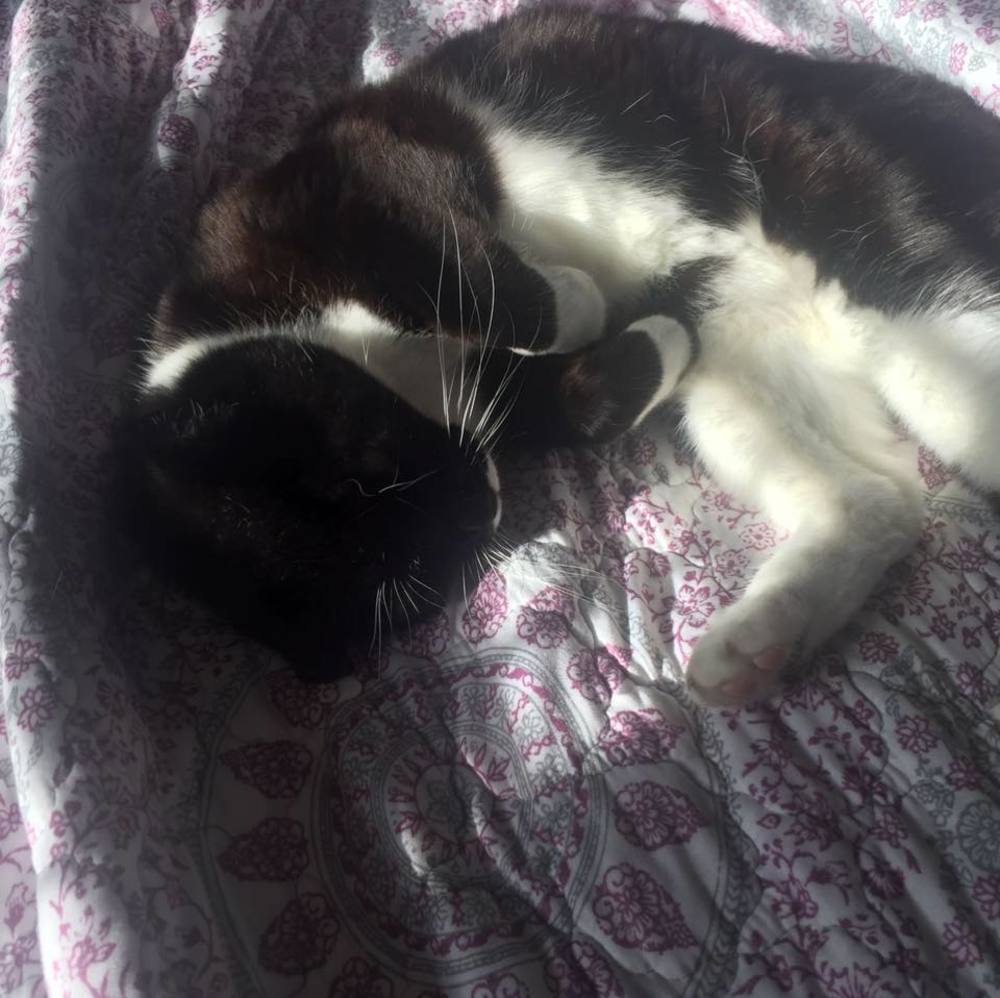 Meet your Posher, Bobbi